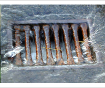 Biological Drain and Sewer Treatment